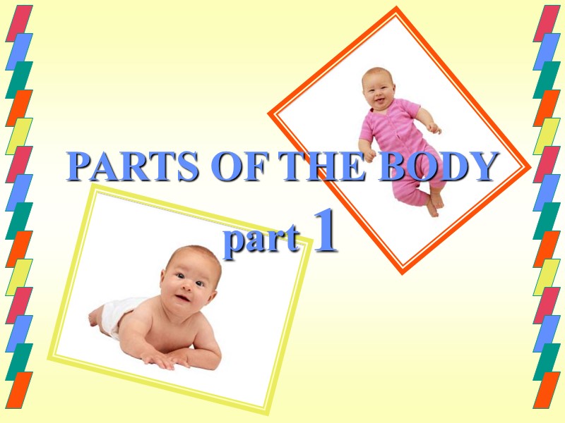PARTS OF THE BODY part 1